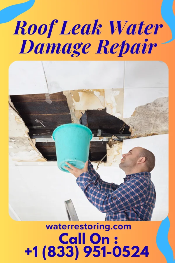 Roof Leak Water Damage Repair in Hunter, KS