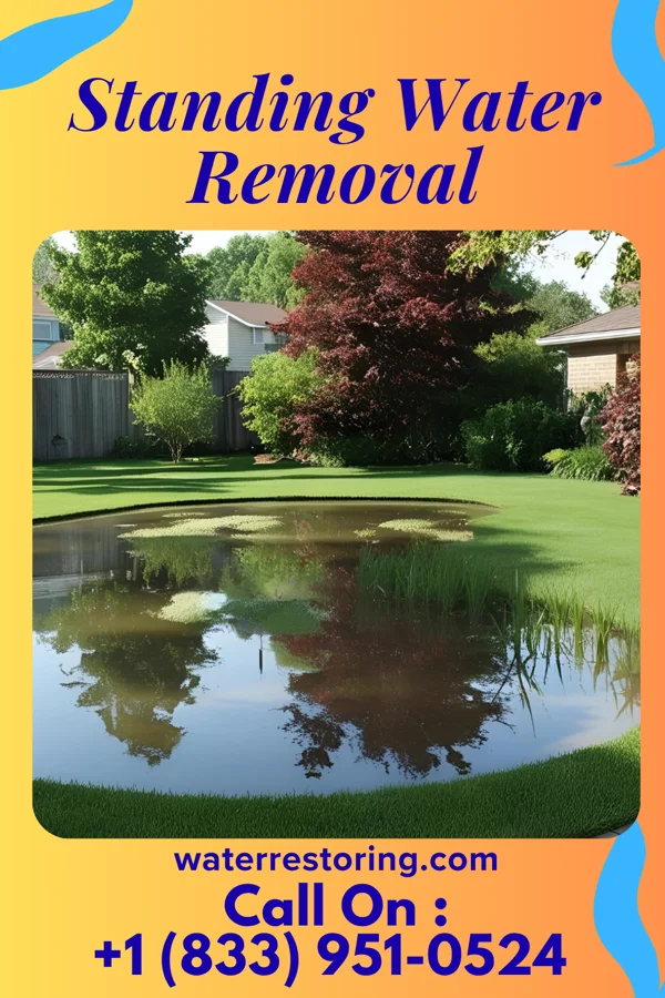 Standing Water Removal in Hunter, KS
